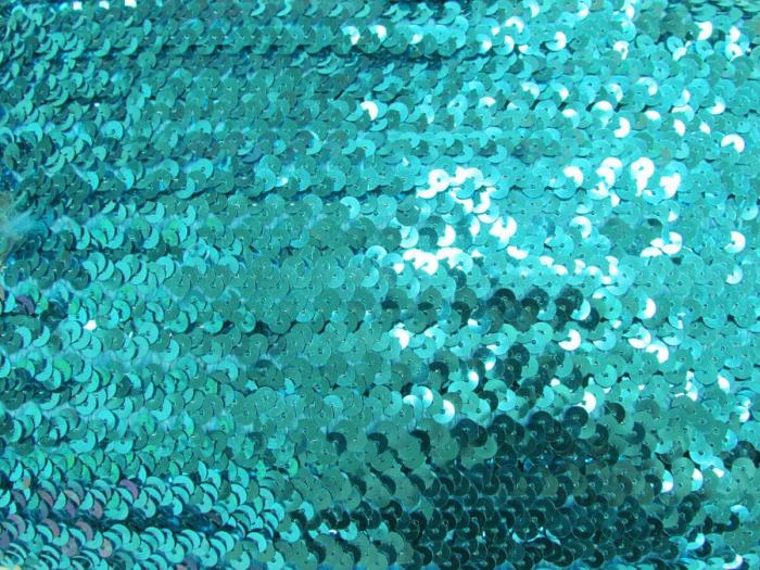 Stretch Sequin Trim- 2 Row- Aqua  |   Sequins & Sequin Trims Sequins & Sequin Trims Sequins & Sequin Trims